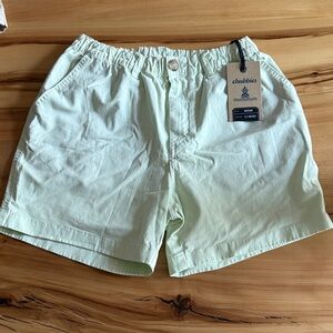 Chubbies Mint Green Casual Shorts